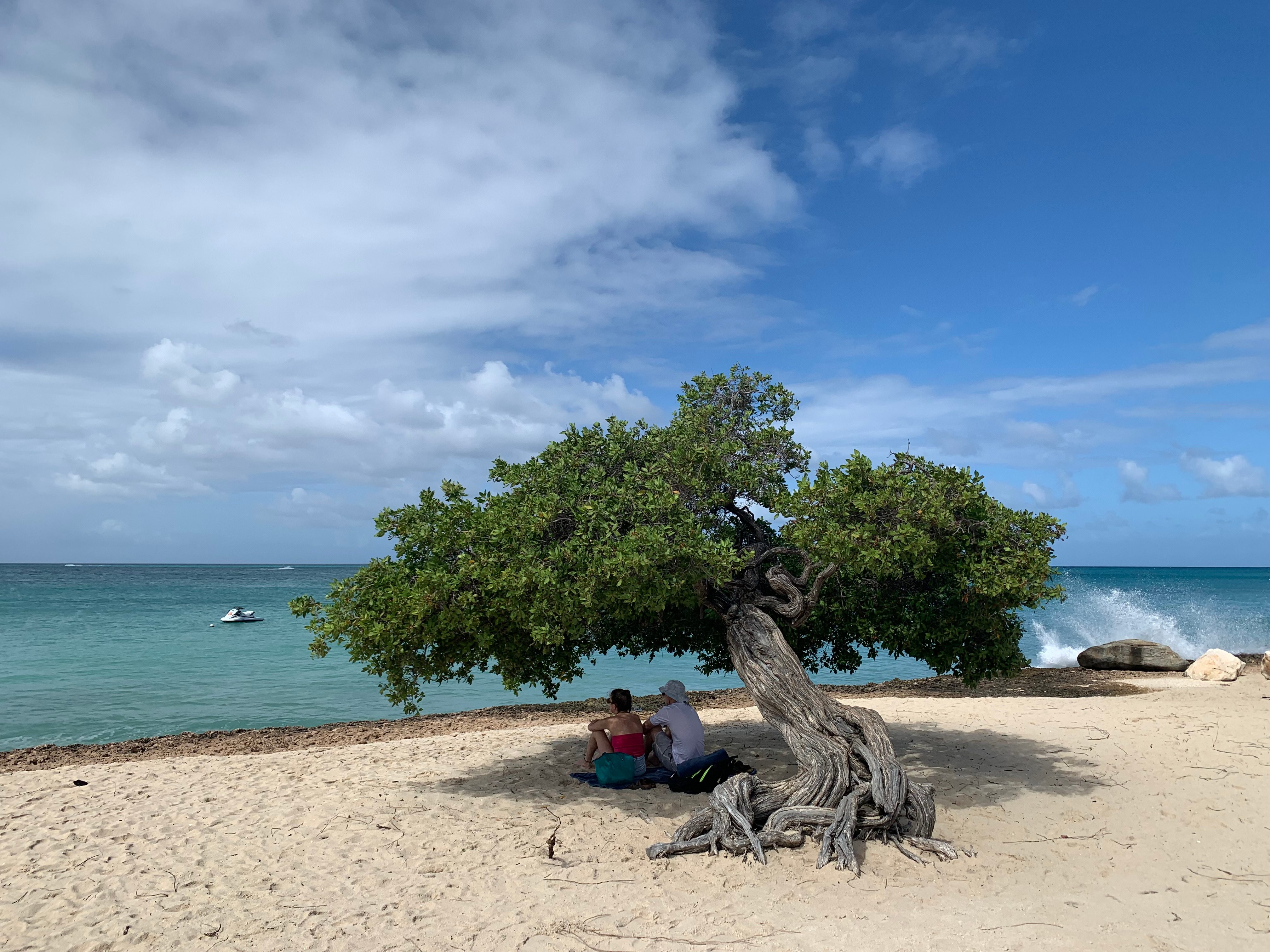 Aruba